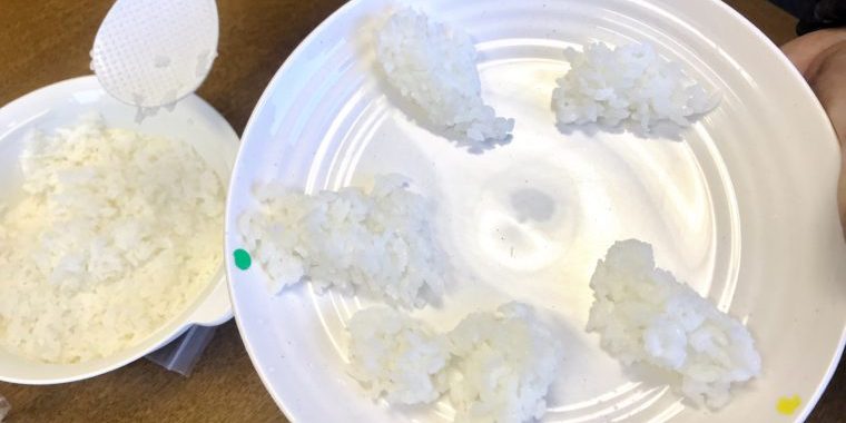 米の食味試験取り皿