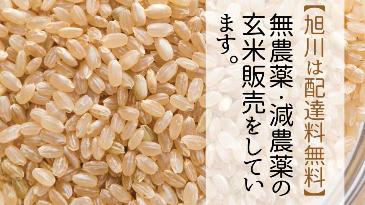 【旭川は配達料無料】無農薬・減農薬の玄米販売をしています。