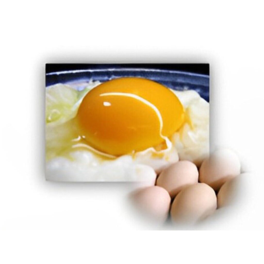 酵素卵