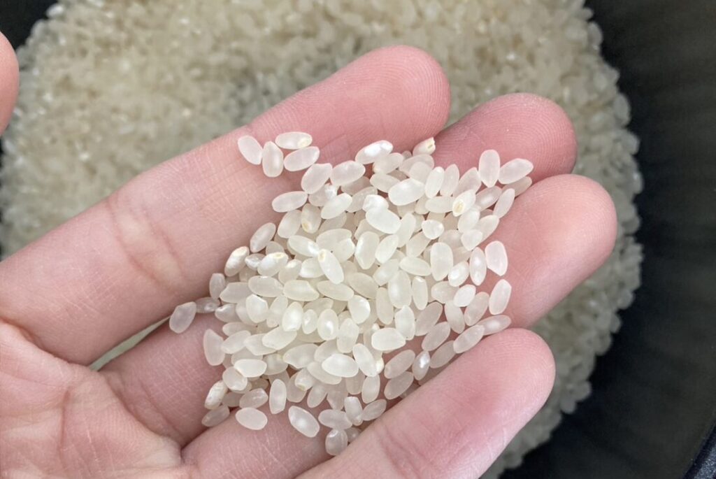 手の上に米を広げる