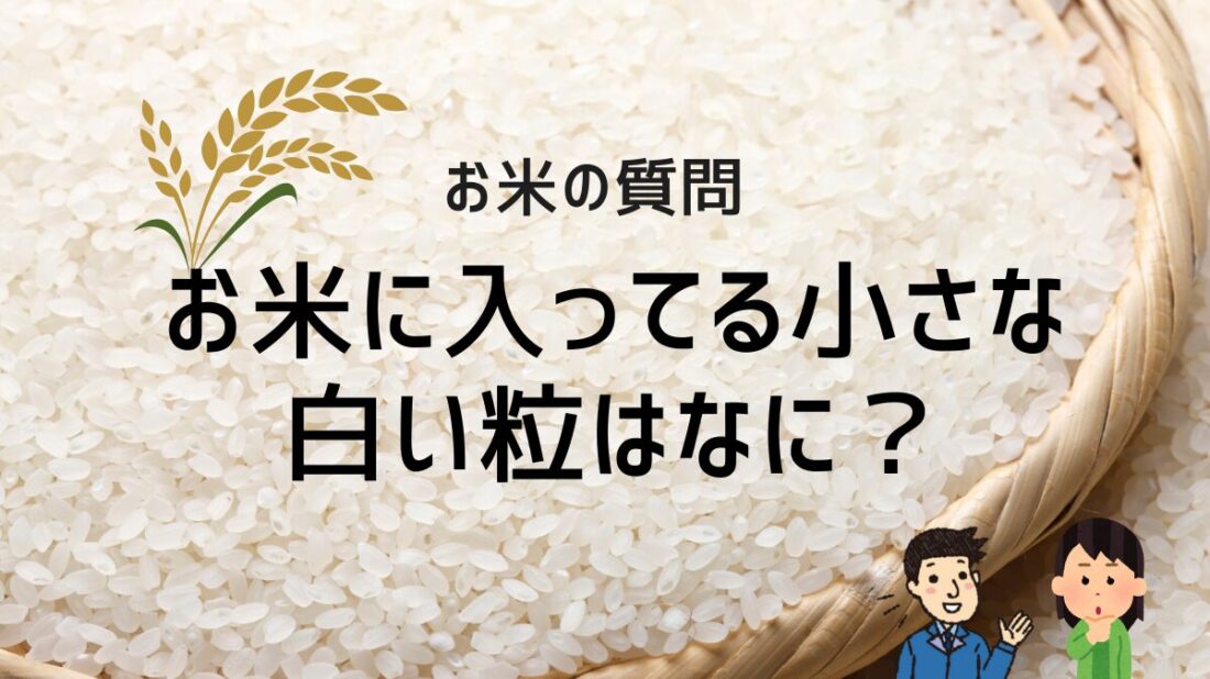 お米に入ってる小さな白い粒はなに？