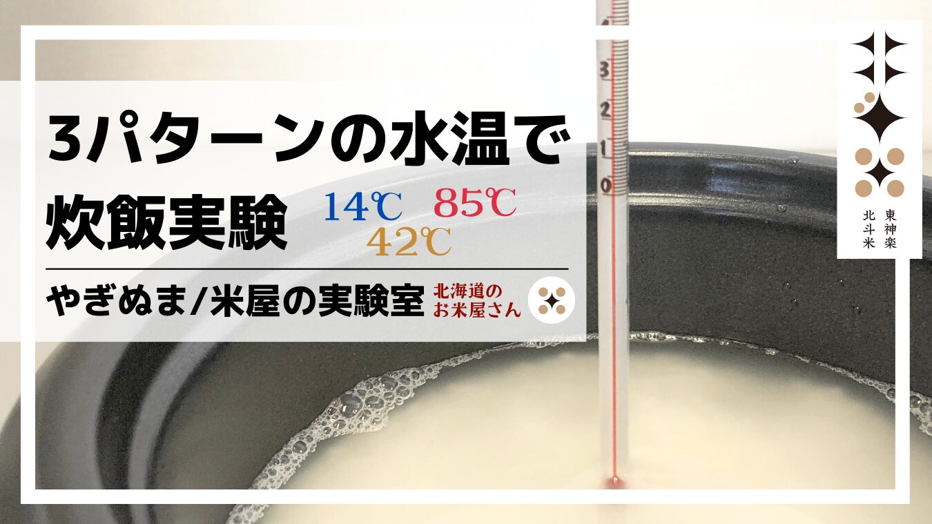 【米屋の実験室】冷水・ぬるま湯・熱湯の3パターンで炊飯実験