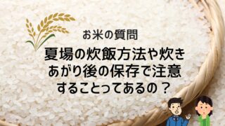 【お米の質問】夏場の炊飯方法や炊きあがり後の保存で注意することってあるの？