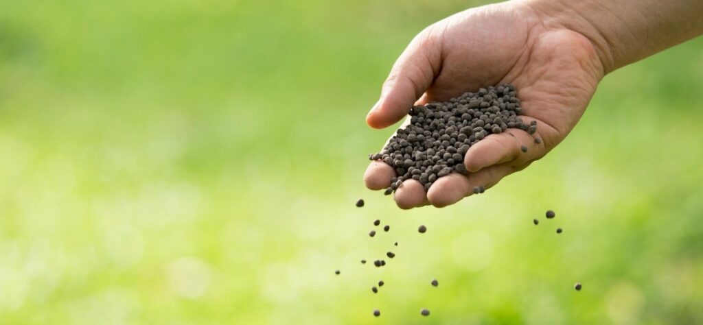 分づき米が危険？米屋が解説1