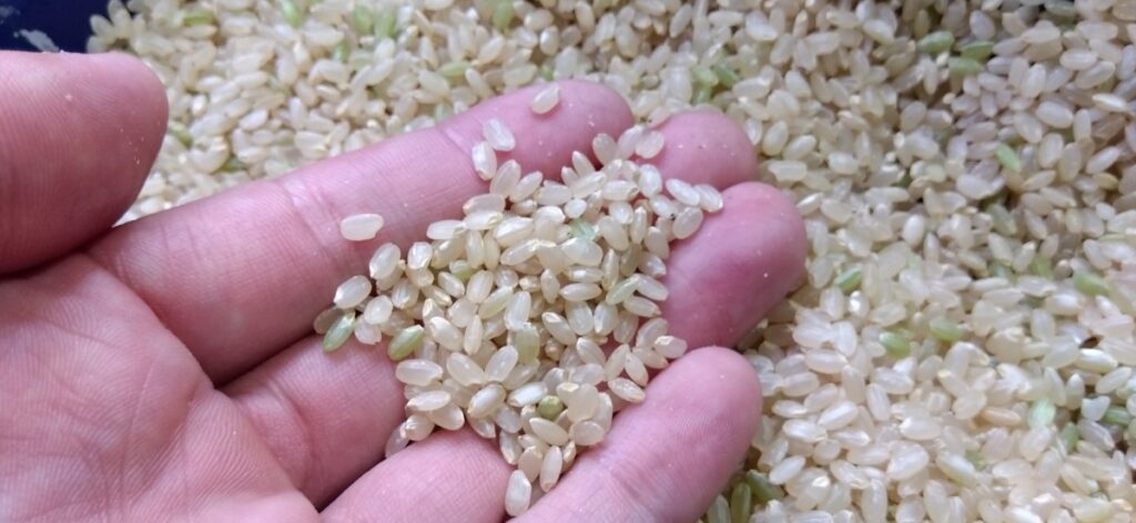 分づき米が危険？米屋が解説6
